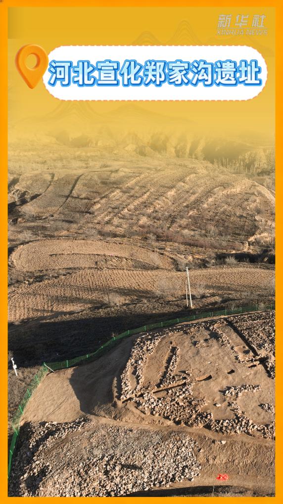 @你 速览2025年度全国十大考古新发现