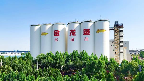 
天津市口腔医院黄牛号贩子票贩子代网上预约代挂号电话金龙鱼发布一季报，营收655亿元同比增长10.92%