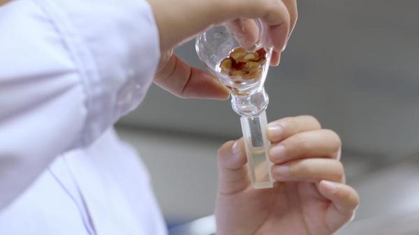 
天津市中心妇产科医院黄牛号贩子票贩子代网上预约代挂号电话一眼万年：从裴李岗“碳化枣核”看新郑红枣的文化根脉