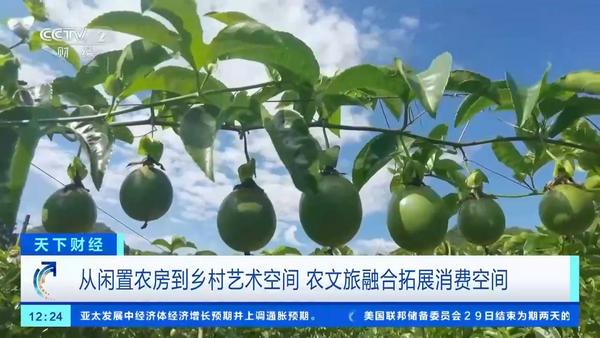 
上海第六人民医院黄牛号贩子票贩子代网上预约代挂号电话从农家小院到艺术空间 沉浸式乡村体验成文旅新趋势