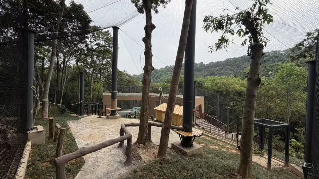 微信图片_20260502090743