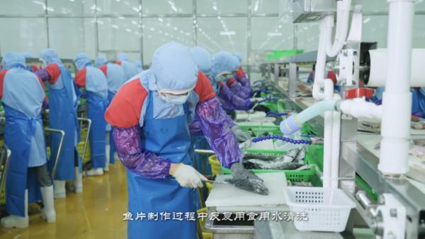 
上海新华医院黄牛号贩子票贩子代网上预约代挂号电话海外国内双热搜：鱼你在一起上演出海“刷屏时刻”