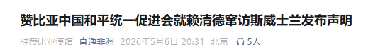 谴责赖清德“偷渡式”窜访 非洲多国统促会等组织发声