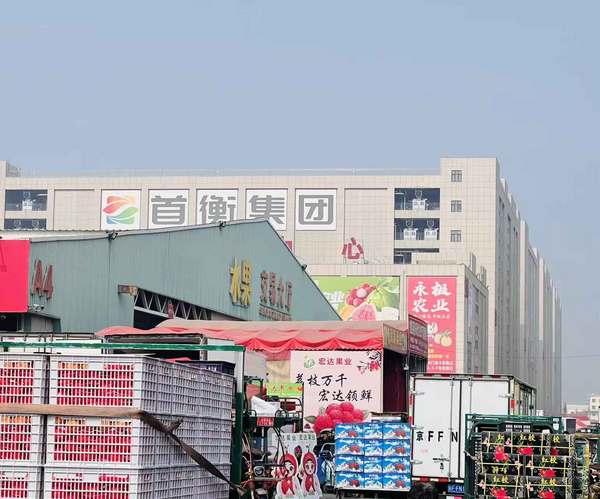 
东部战区空军医院黄牛号贩子票贩子代网上预约代挂号电话今年早早实现荔枝自由的原因找到了