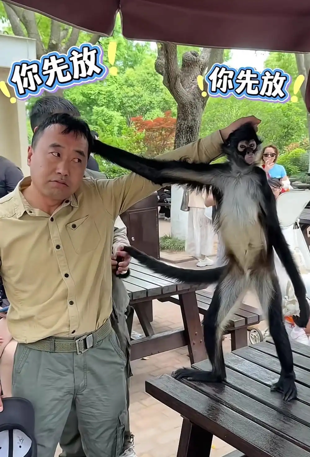 蜘蛛猴与饲养员互薅头发走红 网红蜘蛛猴“豆豆”曾多次“挑衅”饲养员