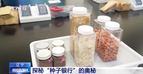 
北京大学口腔医院张益张路李广生黄牛挂号电话探秘东北最大“种子银行” 存50万份够用50年