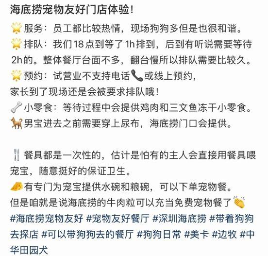 上海仁济医院黄牛号贩子票贩子代网上预约代挂号电话深圳海底捞宠物友好主题店回应卫生关注:人宠就餐分区,全部使用一次性餐具