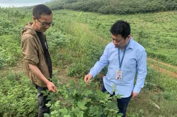 
上海交通大学医学附属上海儿童医学中心张浩何晓敏徐志伟李奋傅立军郭英顾松徐敏王莹宁铂涛张磊袁姝华黄牛挂号电话乐信发布Q1财报：生态业务占比接近 50%，展现多元经营韧性