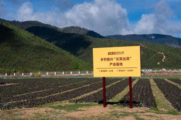 
北大口腔医院黄牛号贩子票贩子代网上预约代挂号电话带动销售破6亿！巴奴 “云菜出滇” 乡村振兴产业基地落地香格里拉