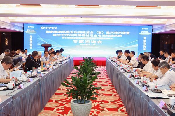 
上海复旦大学妇产科医院黄牛号贩子票贩子代网上预约代挂号电话院士专家共议海辰长时储能发展丨国家级储能首台（套）专家咨询会在京召开