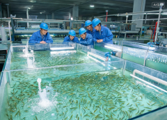
南京脑科医院何晓燕王小珊顾苏皖黄牛挂号电话“航宁2号”投产 黄瓜鱼苗顺利
