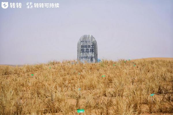 
南方医科大学皮肤病医院黄牛号贩子票贩子代网上预约代挂号电话从循环经济到荒漠治理：转转集团“转转生态林”落地腾格里沙漠