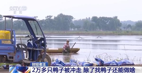 
北大口腔医院黄牛号贩子票贩子代网上预约代挂号电话鸭子被冲走、虾塘被淹……农业保险如何帮农户“兜底”？