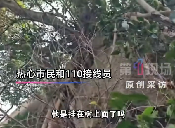 山崖下捡到手机一抬头失主在树上：爬观景巨石打卡拍照不慎坠崖