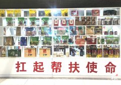 天津市眼科医院黄牛号贩子票贩子代网上预约代挂号电话“万品入湾”牵起东