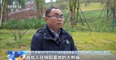 广州市番禺区中医院黄牛号贩子票贩子代网上预约代挂号电话国宝添“新家”