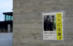 山东省精神卫生中心杨晓东李万顺胡蕾黄牛挂号电话一天五人遭熊袭 日本红叶