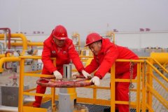 南京鼓楼医院黄牛号贩子票贩子代网上预约代挂号电话我国最大储气库开启今