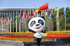 首都医科大学附属儿童医院黄牛号贩子票贩子代网上预约代挂号电话第八届进