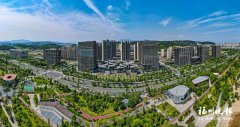 浙江大学医学院附属第二医院刘恺鸣罗巍沈一丁黄牛挂号电话闽江数字贸易走