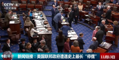 上海龙华医院黄牛号贩子票贩子代网上预约代挂号电话美国联邦政府遭遇史上