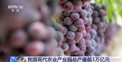 江苏省肿瘤医院黄牛号贩子票贩子代网上预约代挂号电话我国现代农业产业园