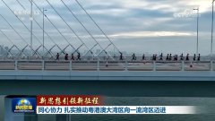三环肿瘤医院黄牛号贩子票贩子代网上预约代挂号电话【新思想引领新征程】