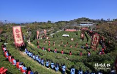 南京市第一医院王林农黄牛挂号电话福地宦溪呈盛景 宜养宜游引客来