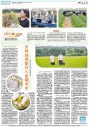 南京市第一医院黄牛号贩子票贩子代网上预约代挂号电话福建有“种”走天下