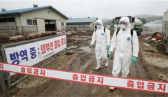 江苏省第二中医院黄牛号贩子票贩子代网上预约代挂号电话韩国发生非洲猪瘟