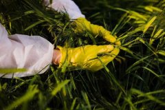 天津血液病医院黄牛号贩子票贩子代网上预约代挂号电话间谍在我国非法搜集
