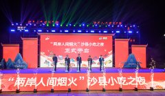 中医科学院望京医院黄牛号贩子票贩子代网上预约代挂号电话第二十九届沙县