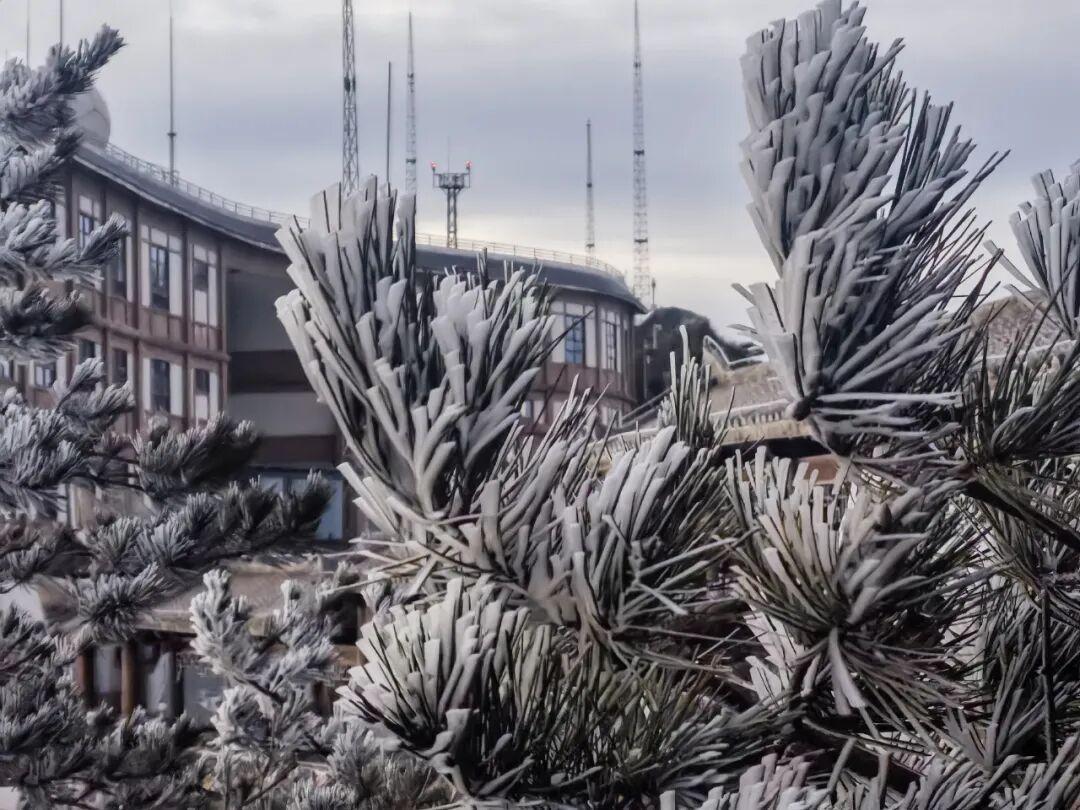 骤降12℃！冷空气已抵达福建！