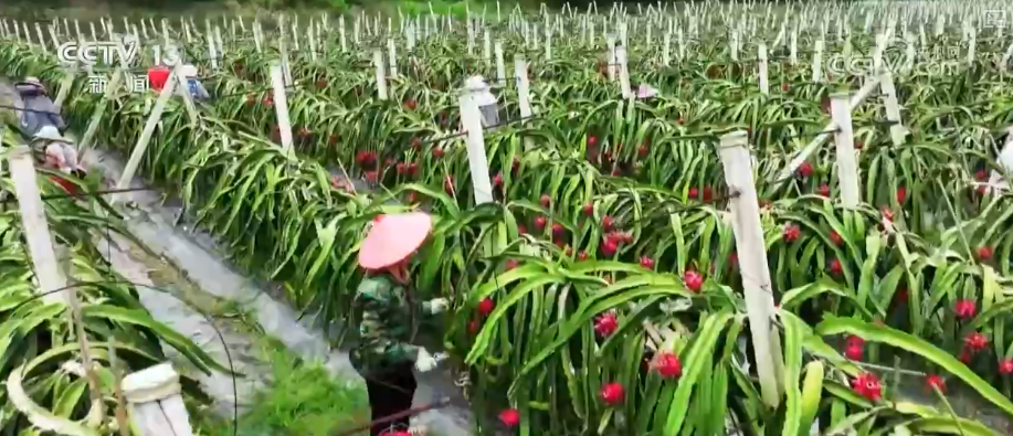 
重庆各大医院黄牛挂号电话从政策到投资、从壮大新动能到“人工智能+”，怎么干？
