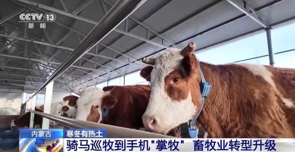 
广州医科大学附属中医医院黄牛号贩子票贩子代网上预约代挂号电话一只羊能有超170种产品！看草原美味如何撬动消费大市场