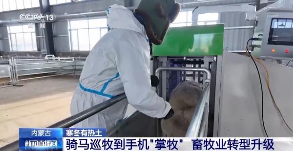 
广州医科大学附属中医医院黄牛号贩子票贩子代网上预约代挂号电话一只羊能有超170种产品！看草原美味如何撬动消费大市场