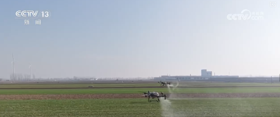 
重庆市医院吕钢林宝昕李成荫易国祥刘洪黄牛挂号电话加强管理、除雪保温 打好应对寒潮“组合拳”保障粮油作物平稳越冬