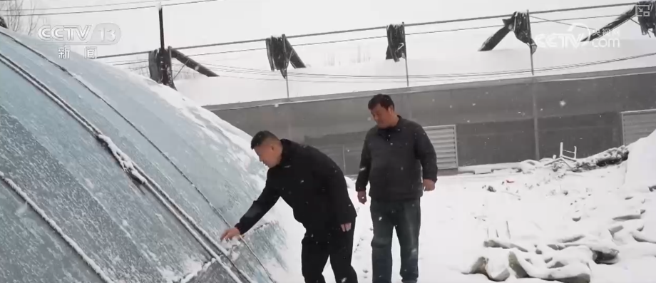 
重庆市医院吕钢林宝昕李成荫易国祥刘洪黄牛挂号电话加强管理、除雪保温 打好应对寒潮“组合拳”保障粮油作物平稳越冬