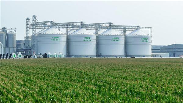 
广州红十字会医院黄牛号贩子票贩子代网上预约代挂号电话“主食+休食”战略见成效，十月稻田斩获“中经新消费品类突破企业”