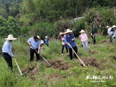 中国医学科学院苏凯邱斌刘文胜刘杰黄牛挂号电话闽清县省璜镇玉水村绘就乡
