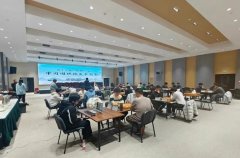 中山大学附属第三医院黄牛号贩子票贩子代网上预约代挂号电话第19届中国围棋