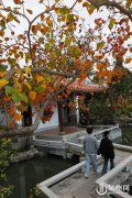 江苏省人民医院黄牛号贩子票贩子代网上预约代挂号电话今明两天泉州市多云