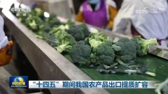 北大第六医院黄牛号贩子票贩子代网上预约代挂号电话“十四五”期间我国农