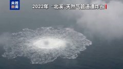 中日友好医院黄牛号贩子票贩子代网上预约代挂号电话“北溪”爆炸案一嫌犯