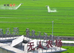 广州市越秀区中医医院黄牛号贩子票贩子代网上预约代挂号电话【央视快评】