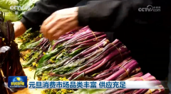 中南大学湘雅三医院西京医院聂勇战刘学东邓艳春王延李同斌于瑞黄牛挂号电