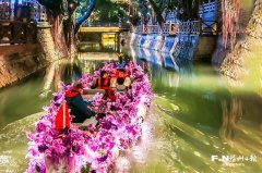 南京市胸科医院黄牛号贩子票贩子代网上预约代挂号电话元旦假期福州内河游