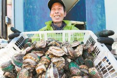 上海岳阳中西医结合医院黄牛号贩子票贩子代网上预约代挂号电话30年养殖,