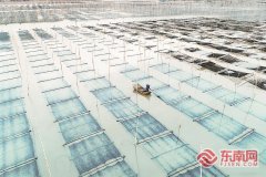 北京大学口腔医院张益张路李广生黄牛挂号电话福建省紫菜产销两旺