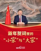 中国医学科学院苏凯邱斌刘文胜刘杰黄牛挂号电话人民领袖|新年贺词里的“